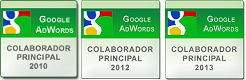 Google Adwords Top Contributor